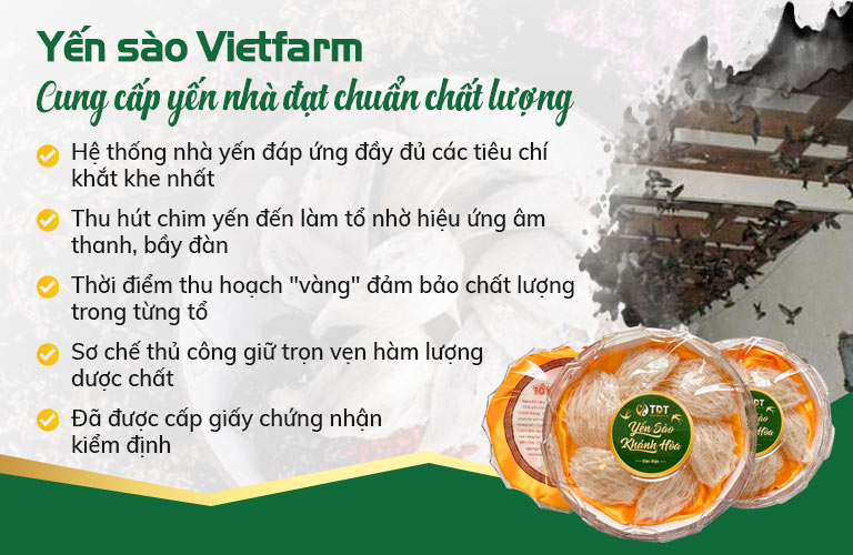 Yến nhà thu hoạch từ những nhà yến đạt tiêu chuẩn kỹ thuật cao